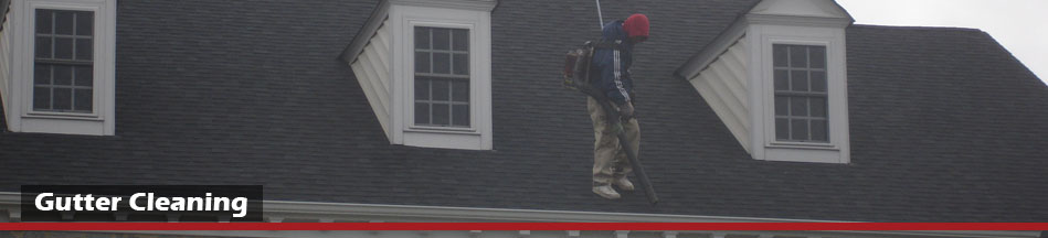 Northern VA Gutter Cleaning